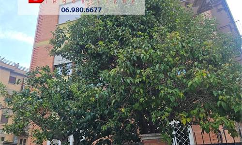 NETTUNO FRONTE MARE E FRONTE POLIGONO