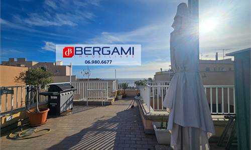 NETTUNO VIA CARLO CATTANEO