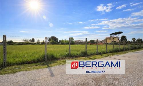 NETTUNO VIA MIRABELLA